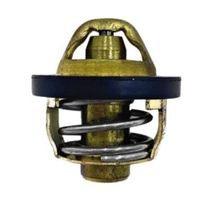 Thermostat-0180-022810