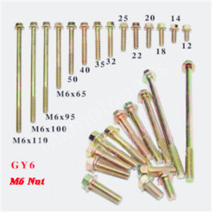 M6x22 Engine Standard Screws for GY6 50-150cc Scooter Moped